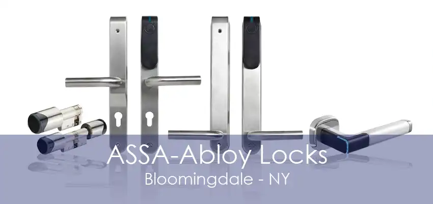 ASSA-Abloy Locks Bloomingdale - NY