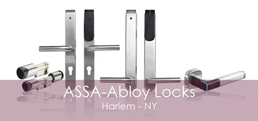 ASSA-Abloy Locks Harlem - NY