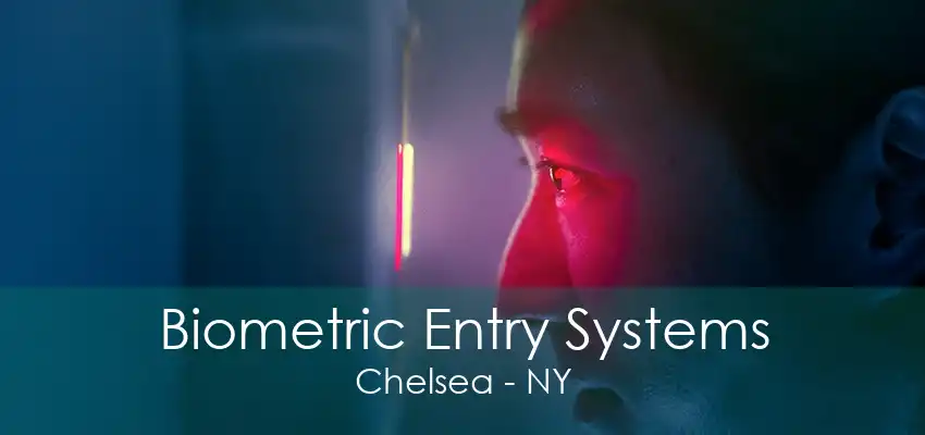 Biometric Entry Systems Chelsea - NY