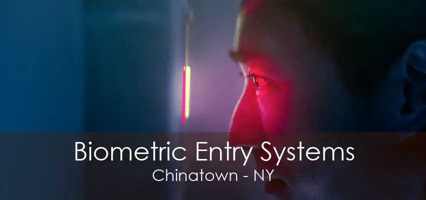 Biometric Entry Systems Chinatown - NY