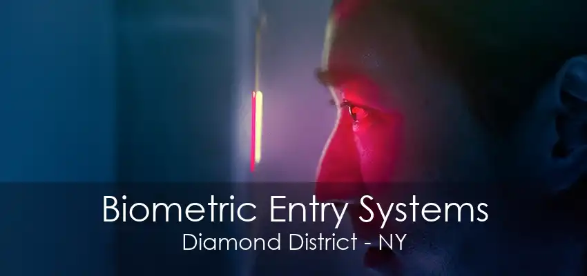 Biometric Entry Systems Diamond District - NY