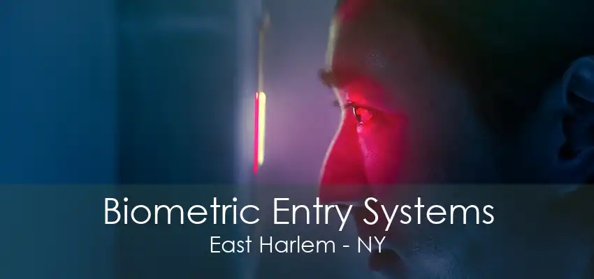 Biometric Entry Systems East Harlem - NY