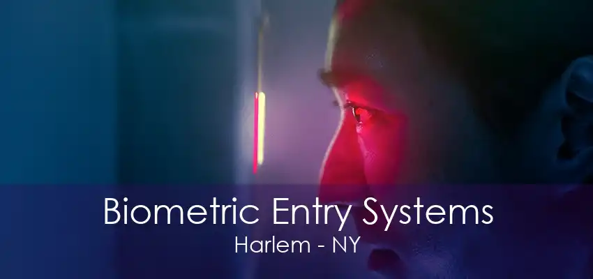 Biometric Entry Systems Harlem - NY