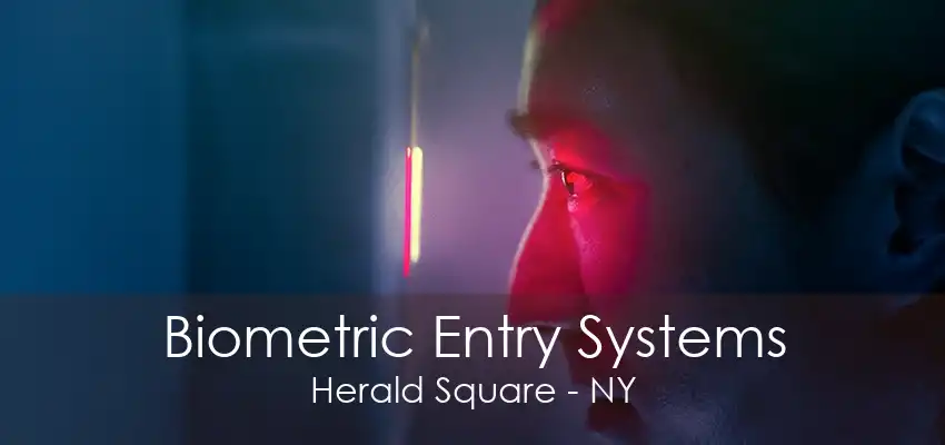 Biometric Entry Systems Herald Square - NY