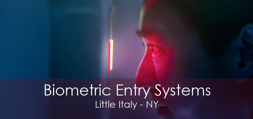 Biometric Entry Systems Little Italy - NY