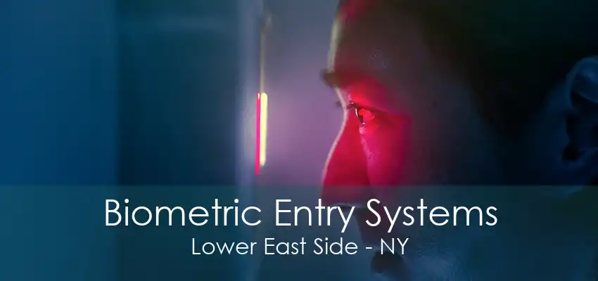 Biometric Entry Systems Lower East Side - NY