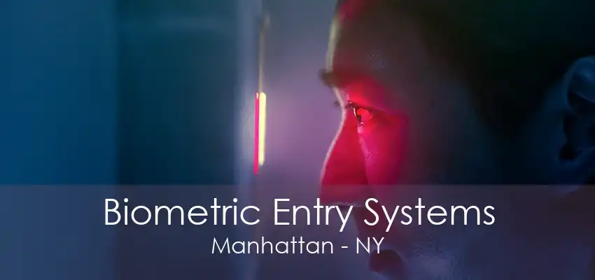 Biometric Entry Systems Manhattan - NY