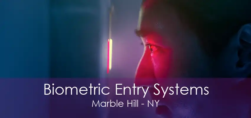 Biometric Entry Systems Marble Hill - NY