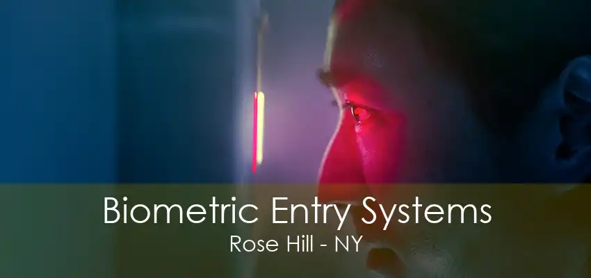 Biometric Entry Systems Rose Hill - NY