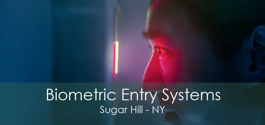 Biometric Entry Systems Sugar Hill - NY