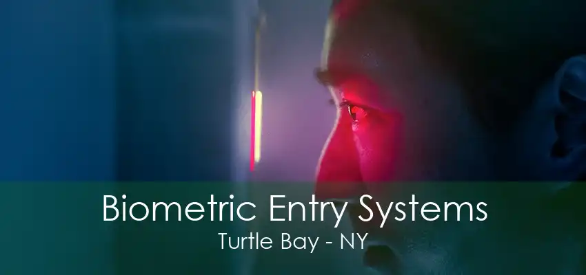 Biometric Entry Systems Turtle Bay - NY