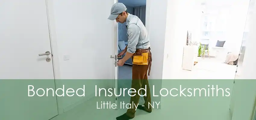 Bonded  Insured Locksmiths Little Italy - NY