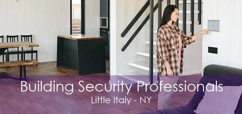 Building Security Professionals Little Italy - NY