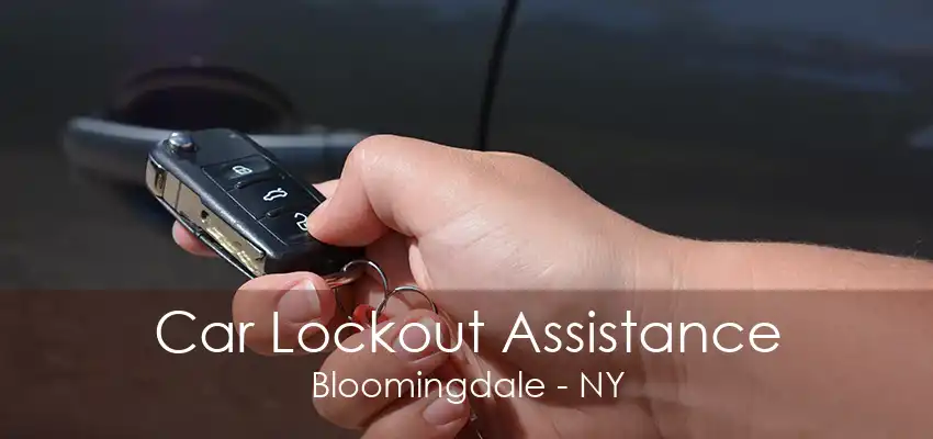 Car Lockout Assistance Bloomingdale - NY