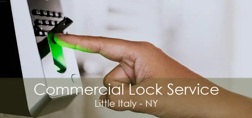 Commercial Lock Service Little Italy - NY