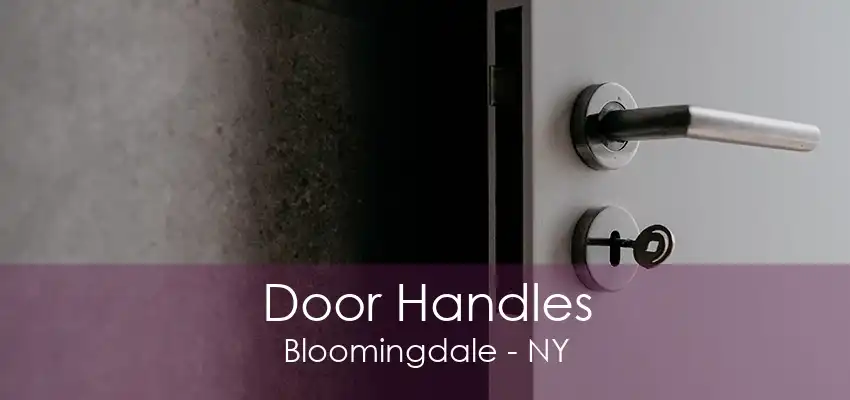 Door Handles Bloomingdale - NY