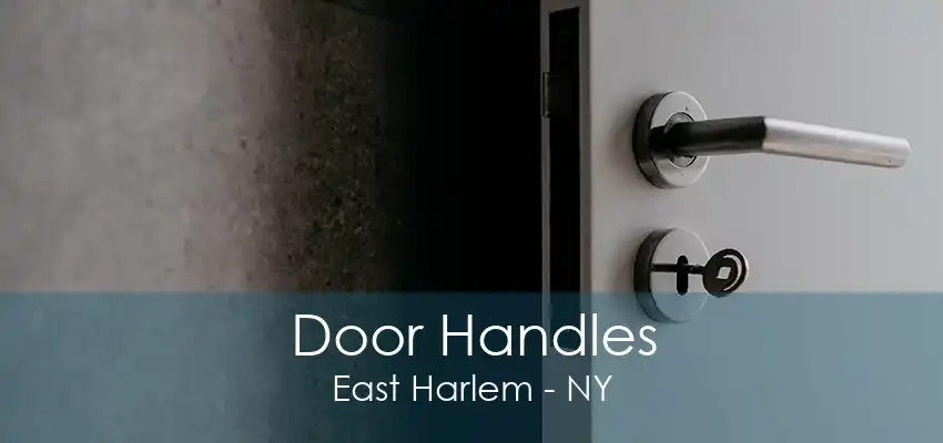 Door Handles East Harlem - NY