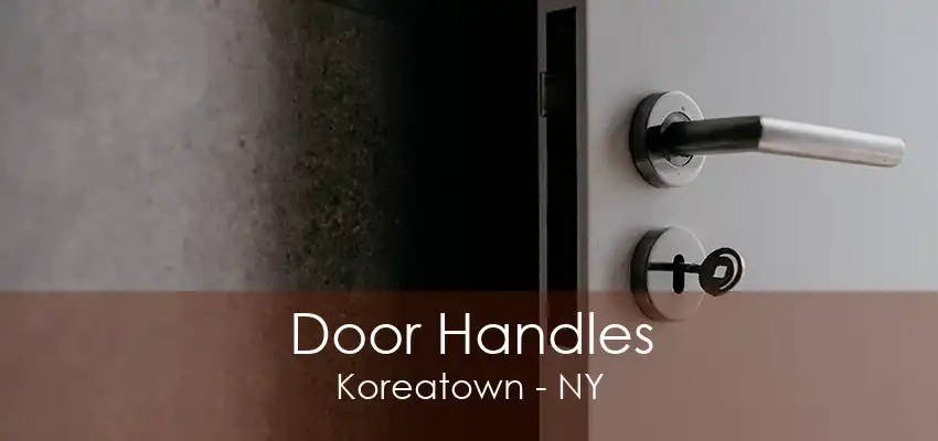 Door Handles Koreatown - NY