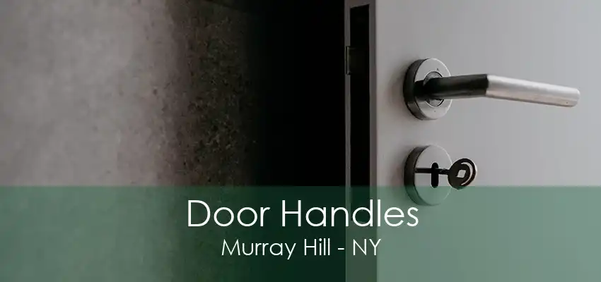 Door Handles Murray Hill - NY