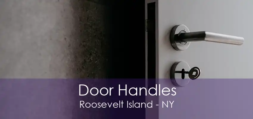 Door Handles Roosevelt Island - NY