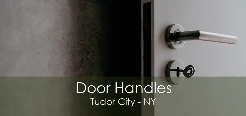 Door Handles Tudor City - NY