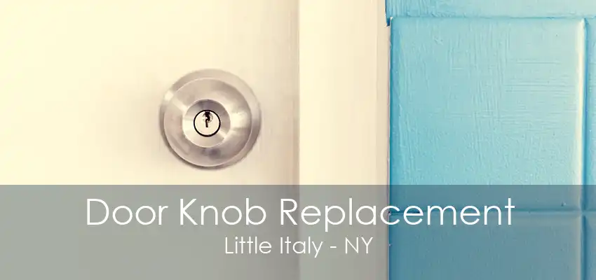 Door Knob Replacement Little Italy - NY