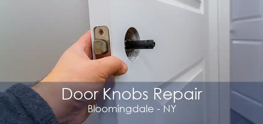 Door Knobs Repair Bloomingdale - NY