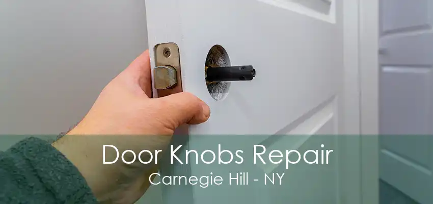 Door Knobs Repair Carnegie Hill - NY