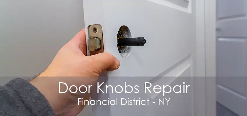 Door Knobs Repair Financial District - NY