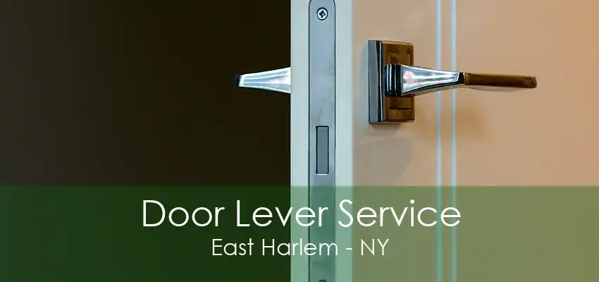 Door Lever Service East Harlem - NY