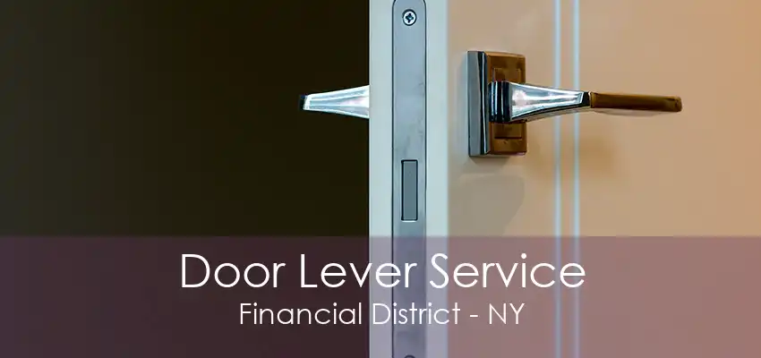 Door Lever Service Financial District - NY