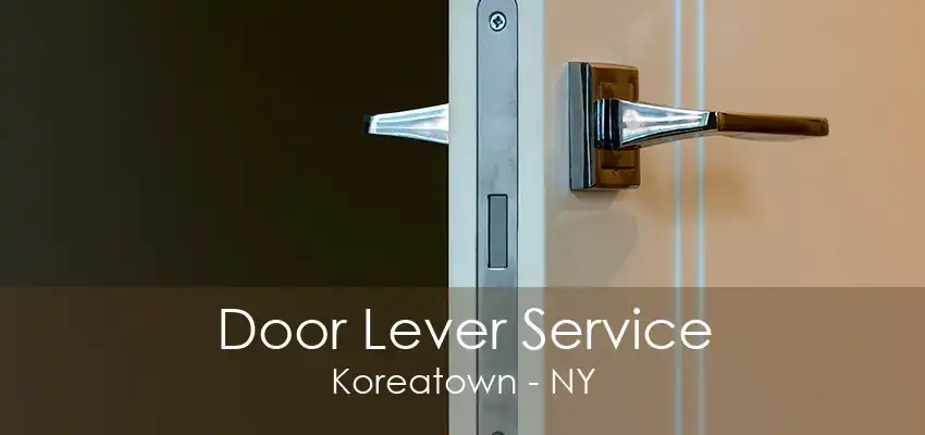 Door Lever Service Koreatown - NY