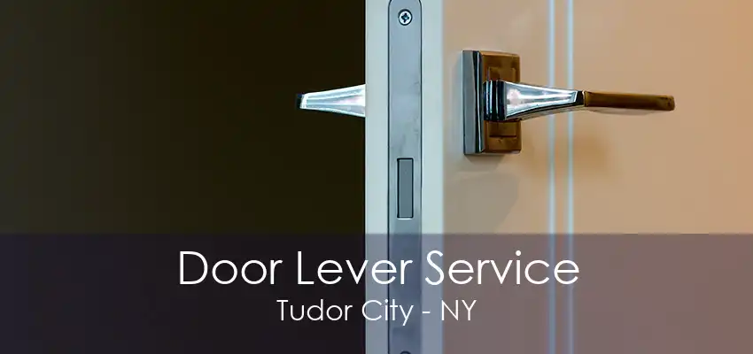 Door Lever Service Tudor City - NY