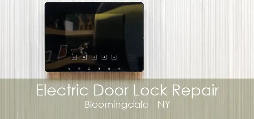 Electric Door Lock Repair Bloomingdale - NY