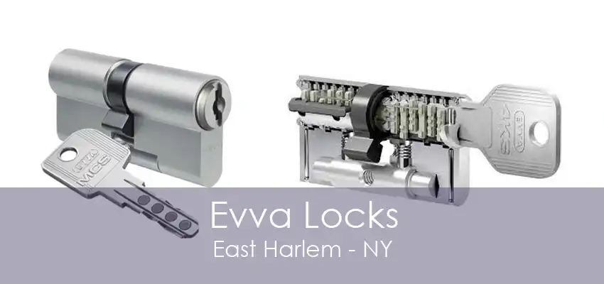 Evva Locks East Harlem - NY