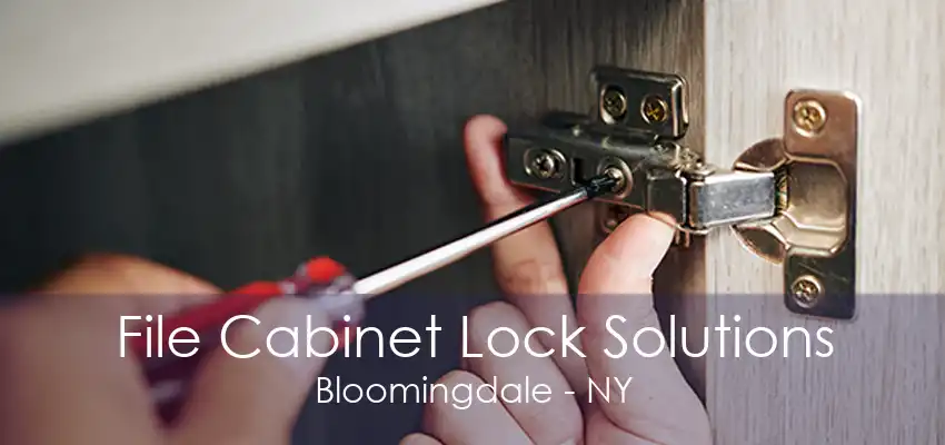 File Cabinet Lock Solutions Bloomingdale - NY