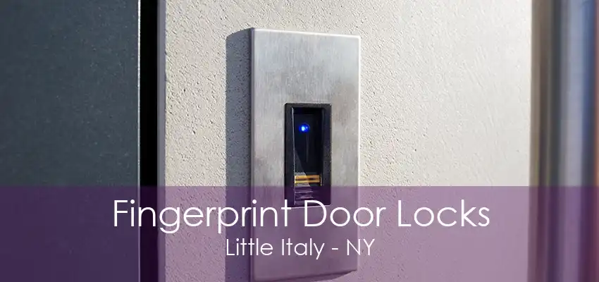 Fingerprint Door Locks Little Italy - NY