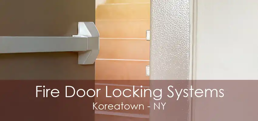 Fire Door Locking Systems Koreatown - NY