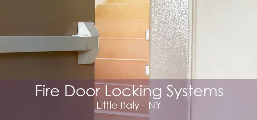 Fire Door Locking Systems Little Italy - NY