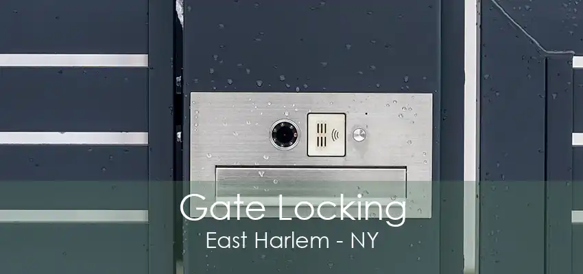 Gate Locking East Harlem - NY