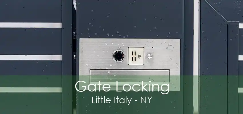 Gate Locking Little Italy - NY