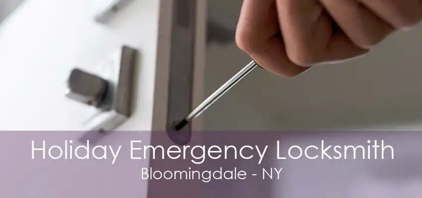 Holiday Emergency Locksmith Bloomingdale - NY