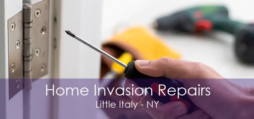 Home Invasion Repairs Little Italy - NY