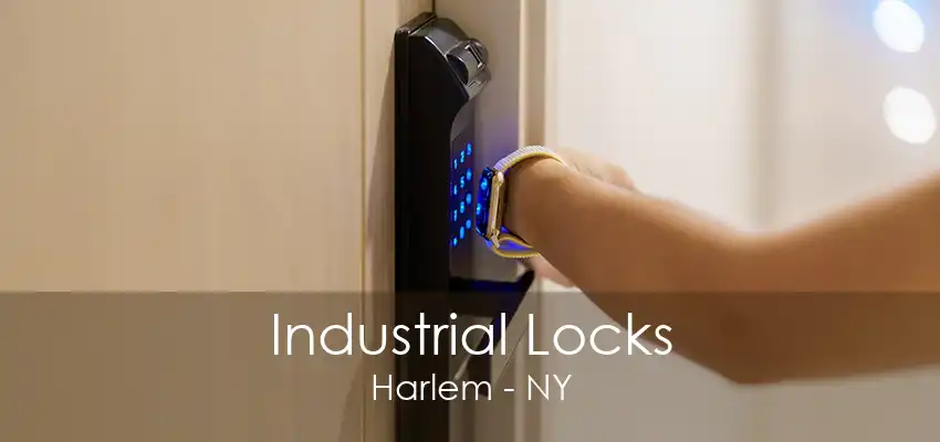 Industrial Locks Harlem - NY