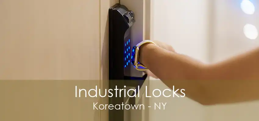 Industrial Locks Koreatown - NY