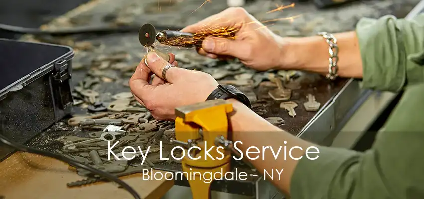 Key Locks Service Bloomingdale - NY