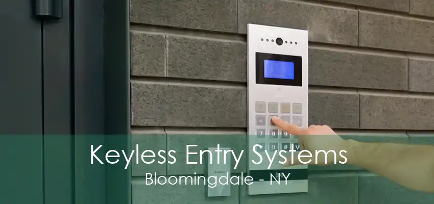 Keyless Entry Systems Bloomingdale - NY