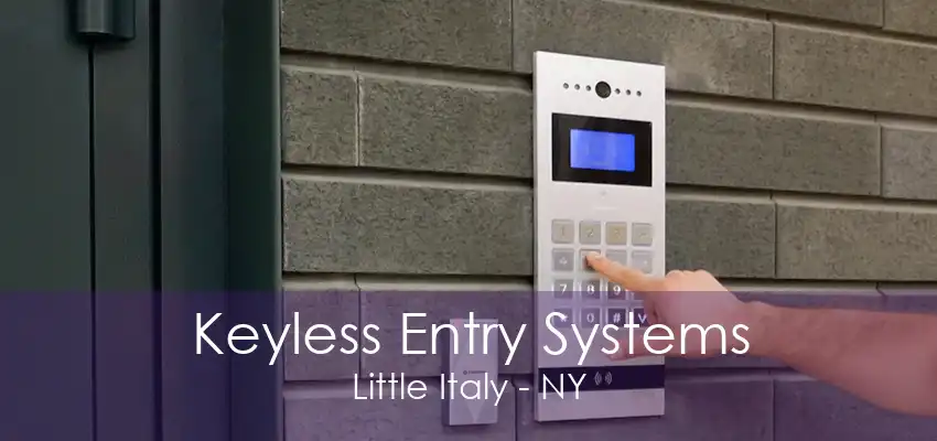 Keyless Entry Systems Little Italy - NY