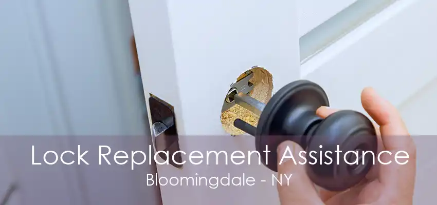 Lock Replacement Assistance Bloomingdale - NY