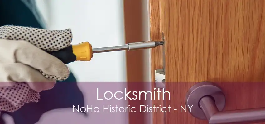 Locksmith NoHo Historic District - NY